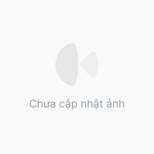 Gấu đồng giá 25 - 28cm